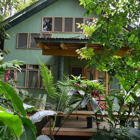 Rainforest Eco Lodge Σούβα Εξωτερικό φωτογραφία