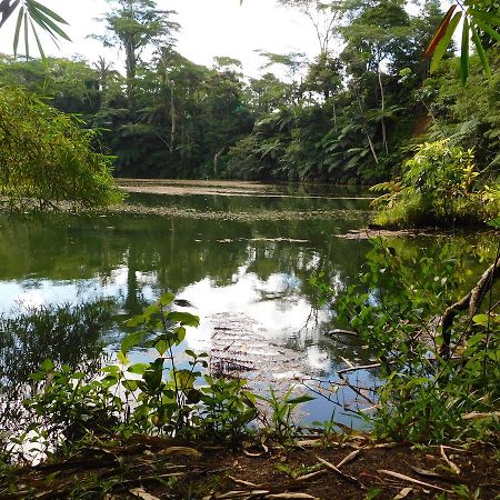 Rainforest Eco Lodge Σούβα Εξωτερικό φωτογραφία