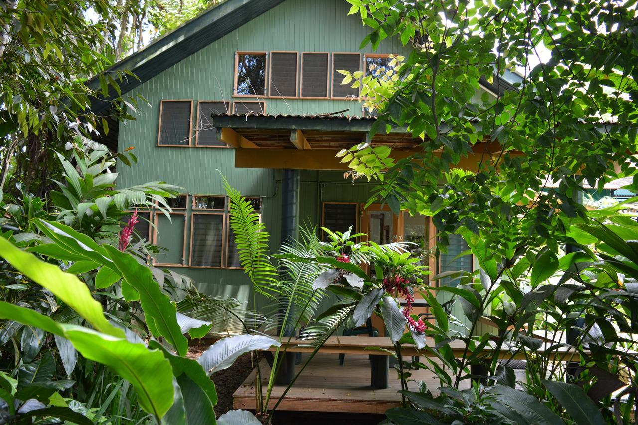 Rainforest Eco Lodge Σούβα Εξωτερικό φωτογραφία