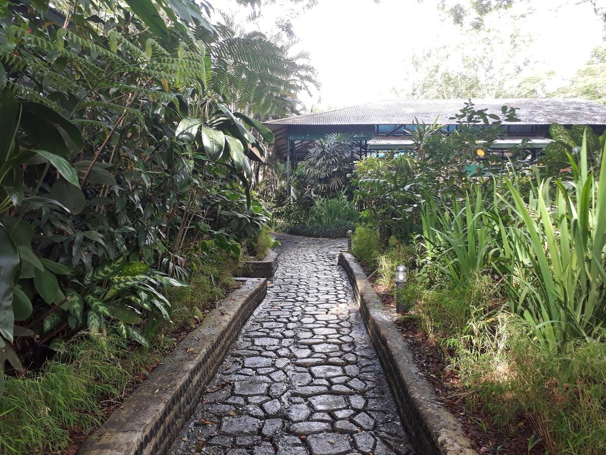 Rainforest Eco Lodge Σούβα Εξωτερικό φωτογραφία