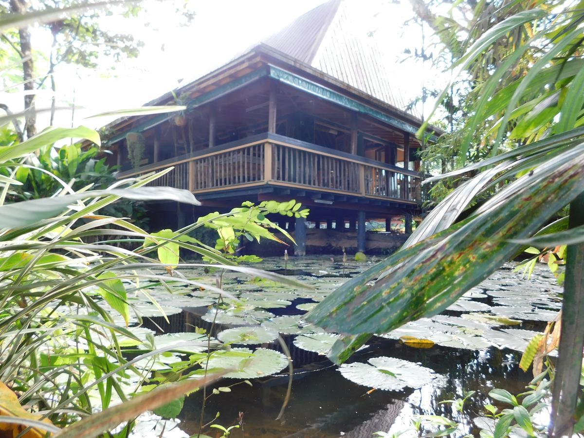 Rainforest Eco Lodge Σούβα Εξωτερικό φωτογραφία