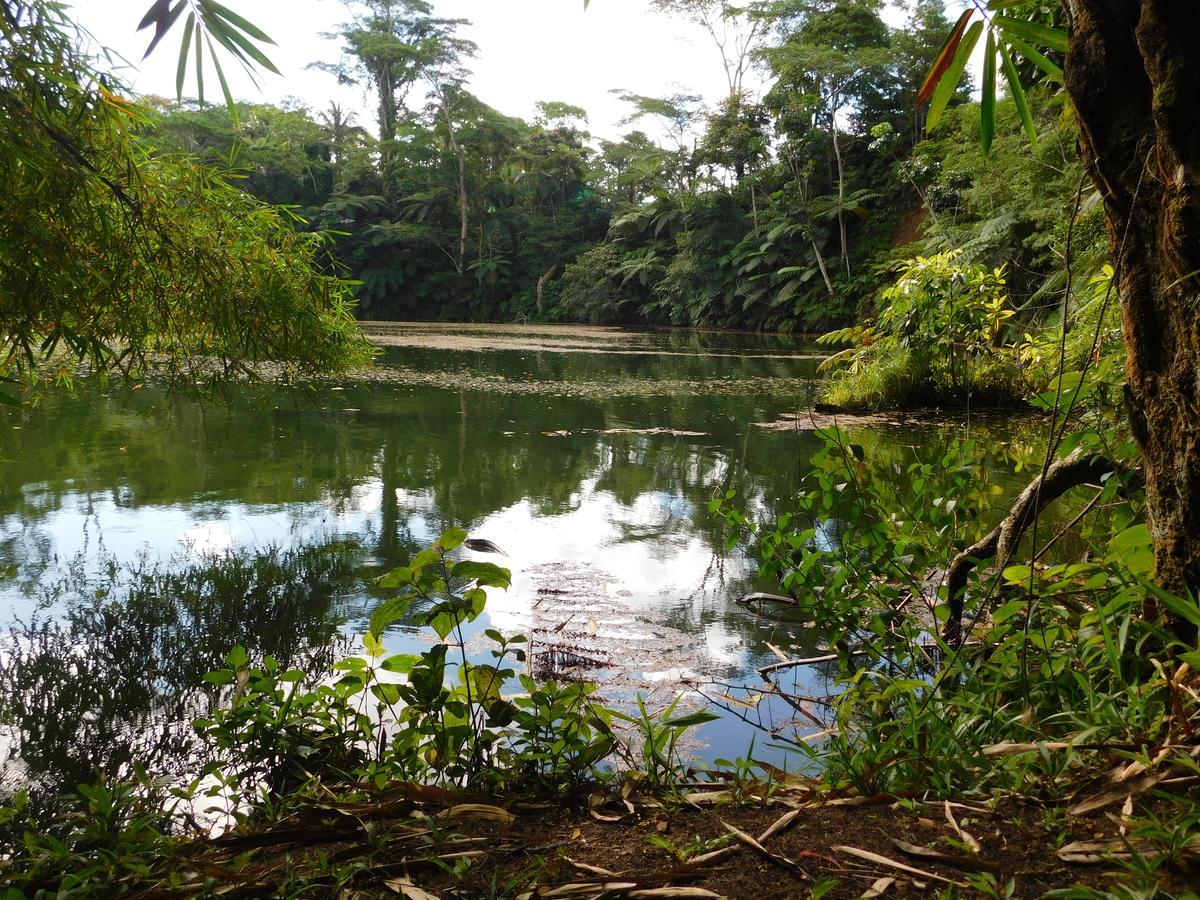 Rainforest Eco Lodge Σούβα Εξωτερικό φωτογραφία