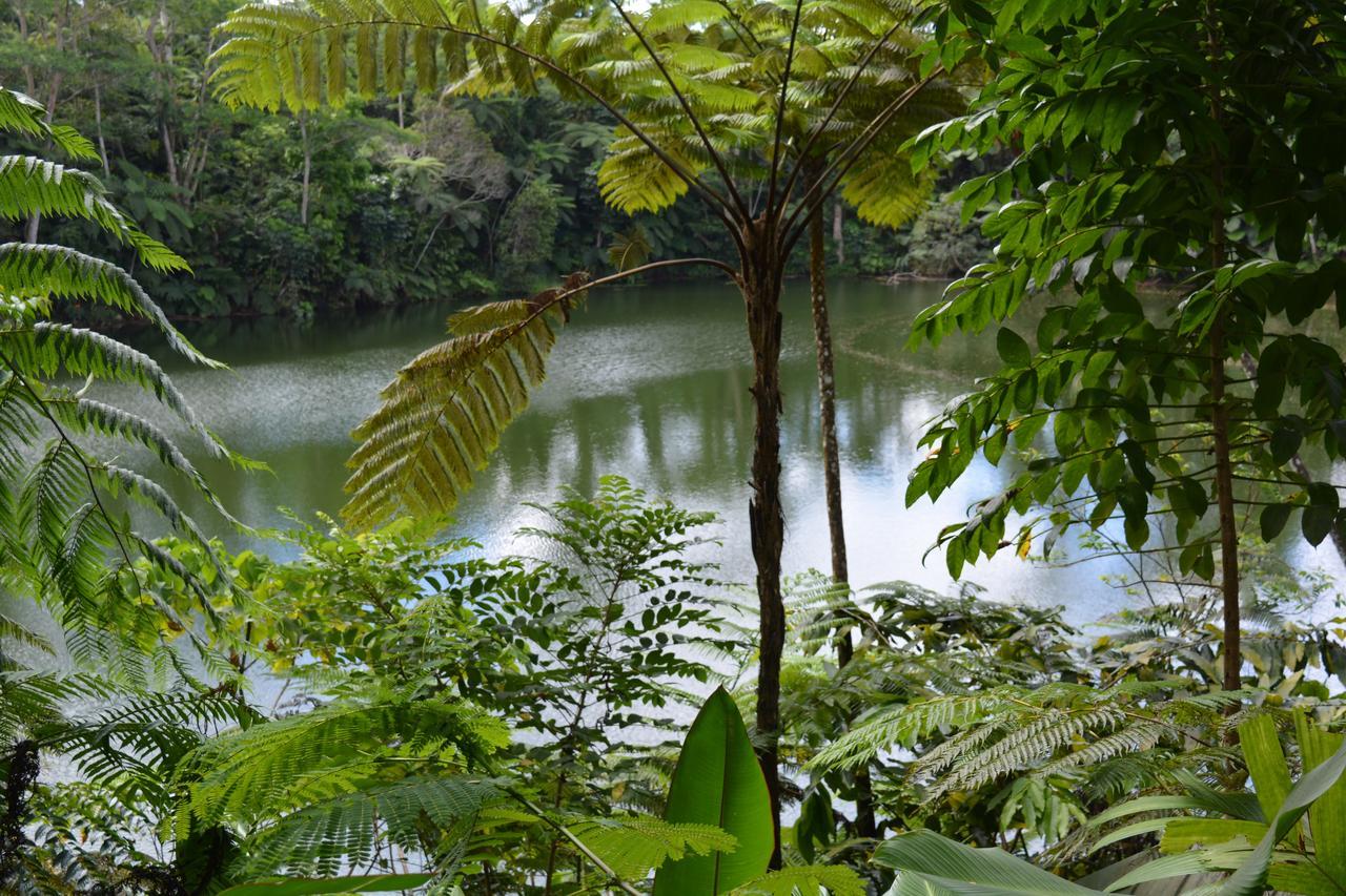 Rainforest Eco Lodge Σούβα Εξωτερικό φωτογραφία