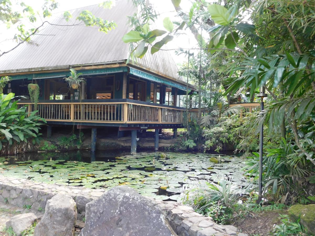 Rainforest Eco Lodge Σούβα Εξωτερικό φωτογραφία