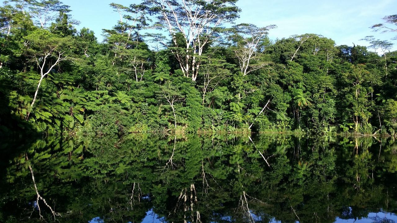 Rainforest Eco Lodge Σούβα Εξωτερικό φωτογραφία