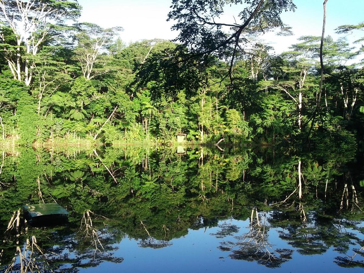 Rainforest Eco Lodge Σούβα Εξωτερικό φωτογραφία