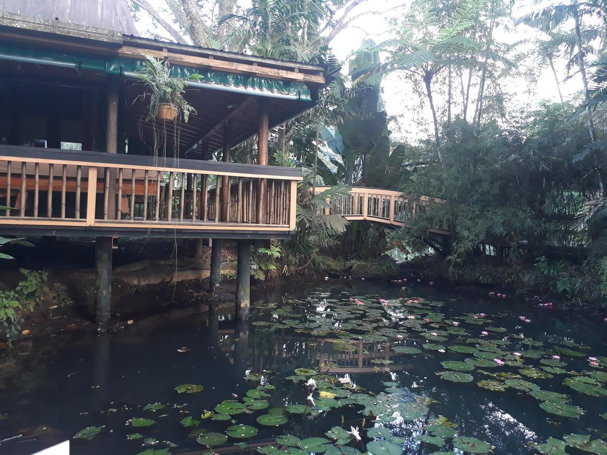 Rainforest Eco Lodge Σούβα Εξωτερικό φωτογραφία