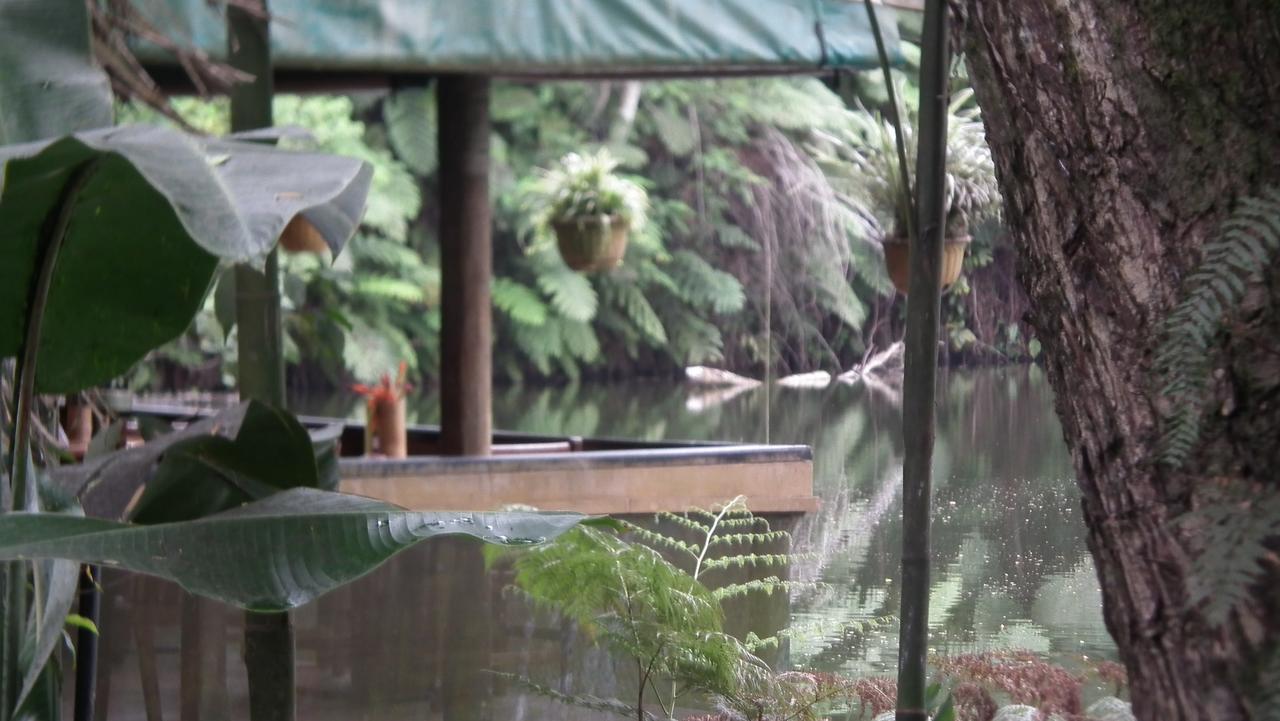 Rainforest Eco Lodge Σούβα Εξωτερικό φωτογραφία